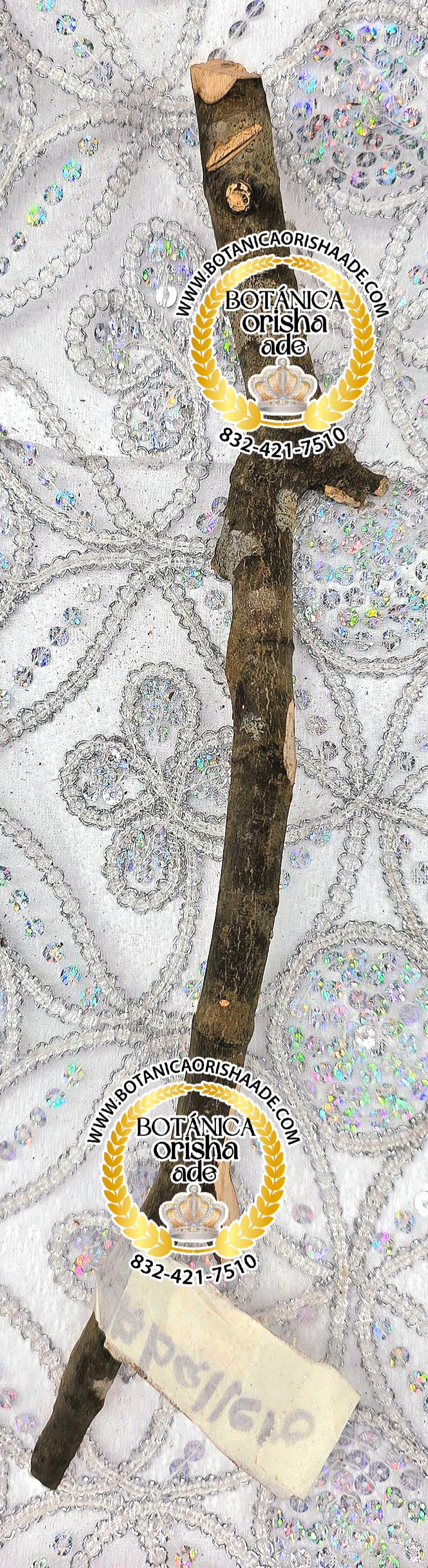 PALO CABALLERO  -  15 Y 20 PULGADAS DE LARGO