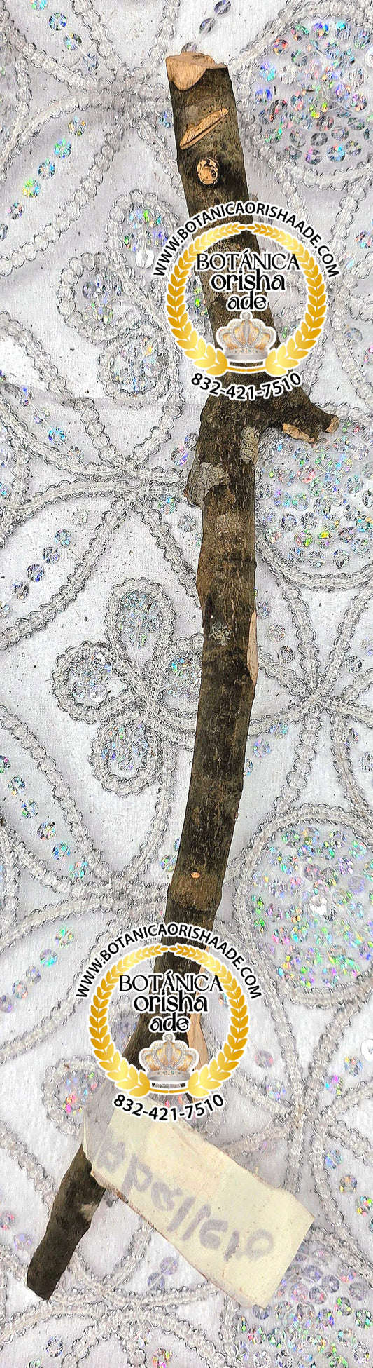 PALO CABALLERO  -  15 Y 20 PULGADAS DE LARGO