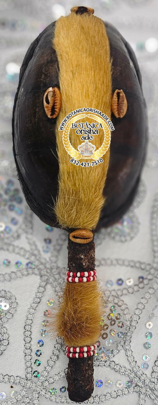 MARACA DE CARAPACHO DE JICOTEA 17