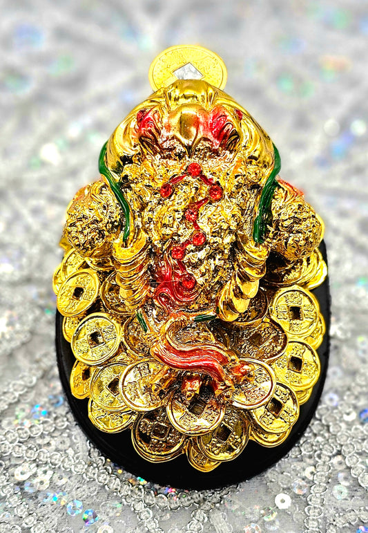 RANA GRANDE DE LA SUERTE