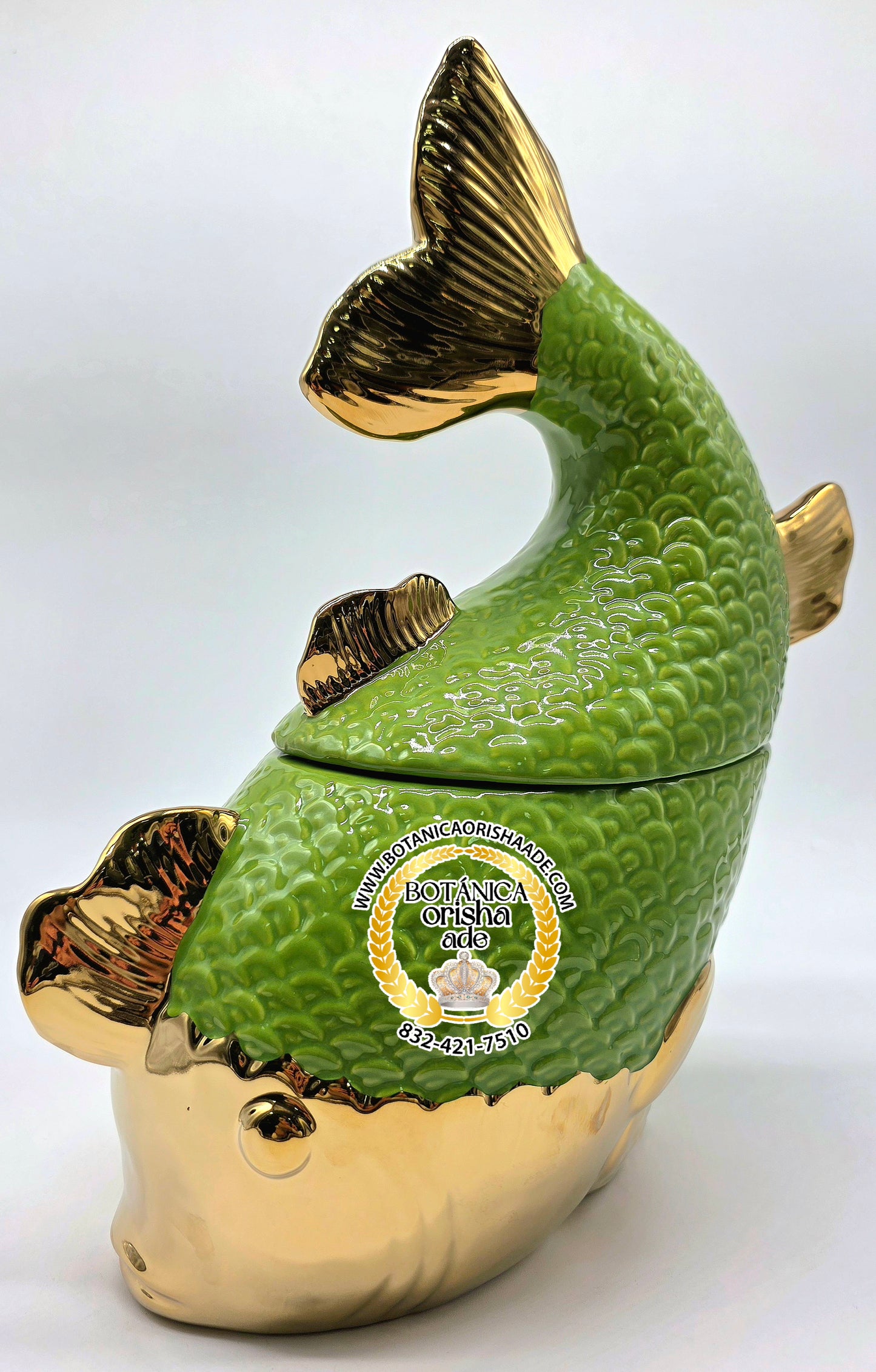SOPERA DE PESCADO VERDE