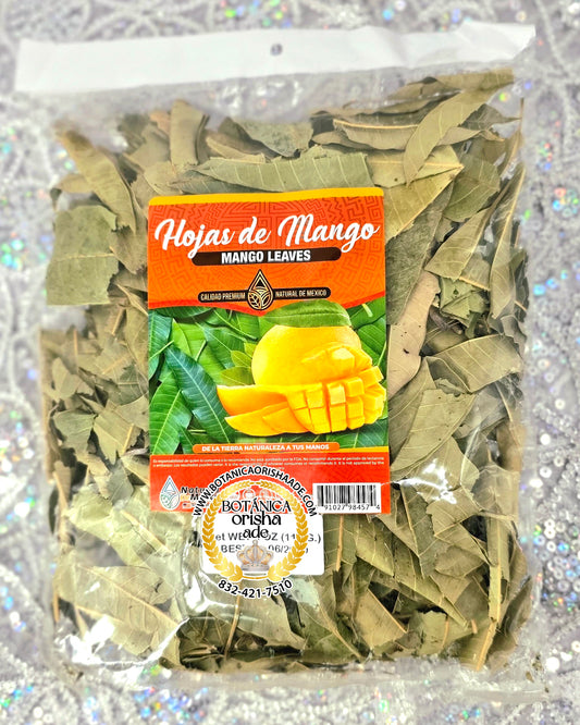 HOJAS DE MANGO