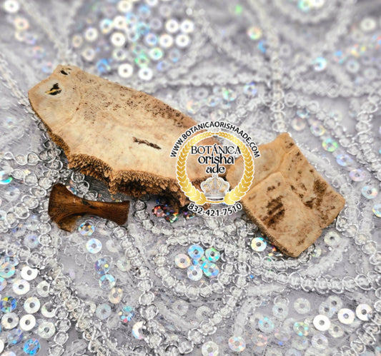 CARAPACHO DE JICOTEA PEQUENA