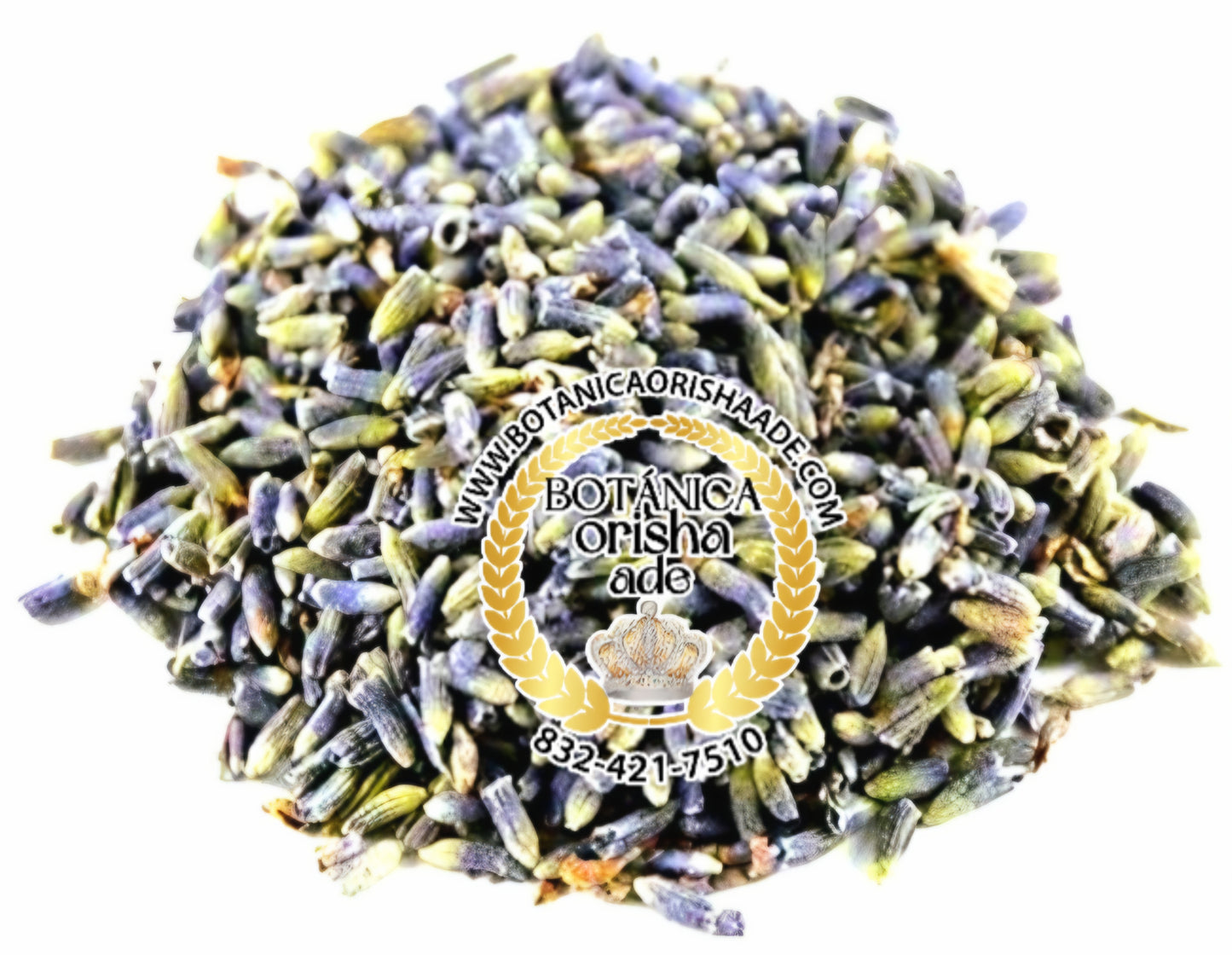SEMILLA LAVANDA