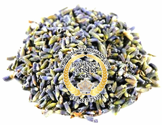 SEMILLA LAVANDA