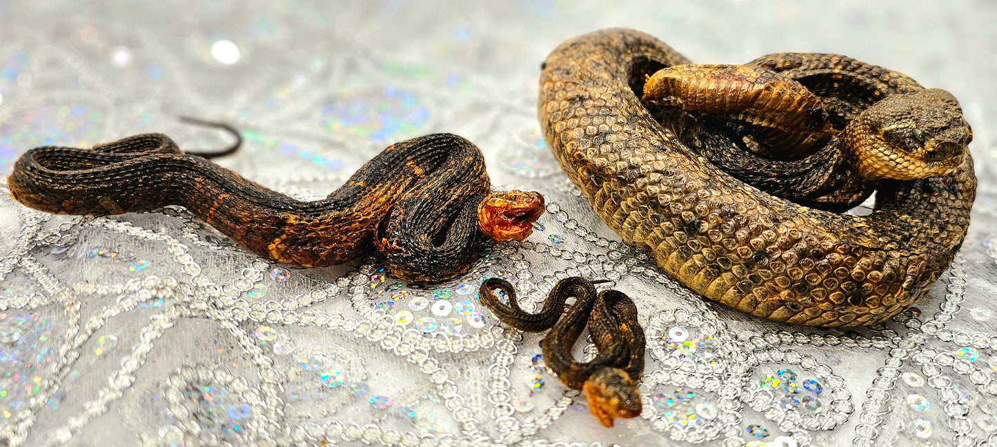 SERPIENTE  GRANDE