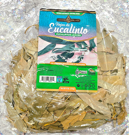 EUCALIPTO EN HOJA GRANDE