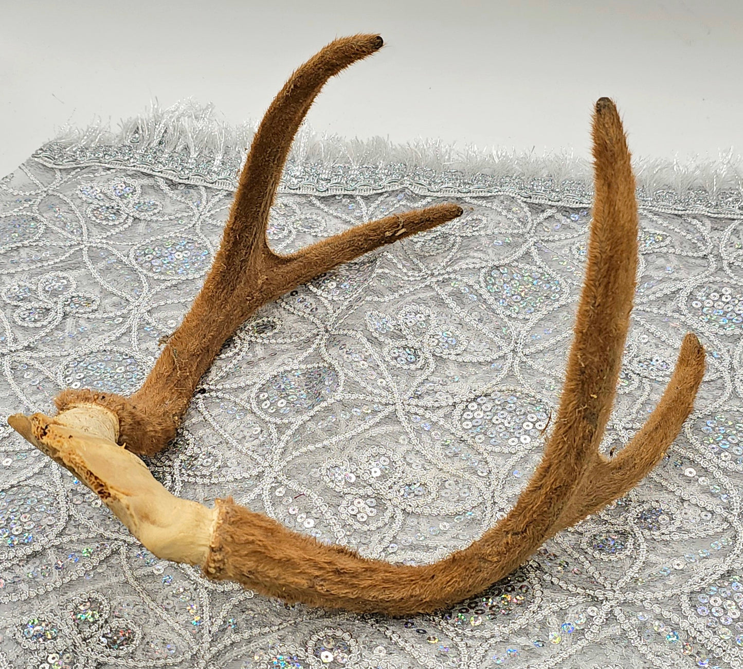 FRONTIL DE VENAO 5