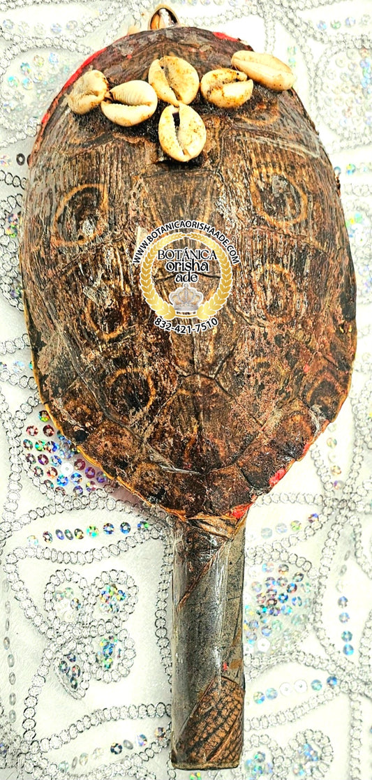 MARACA DE CARAPACHO DE JICOTEA 6