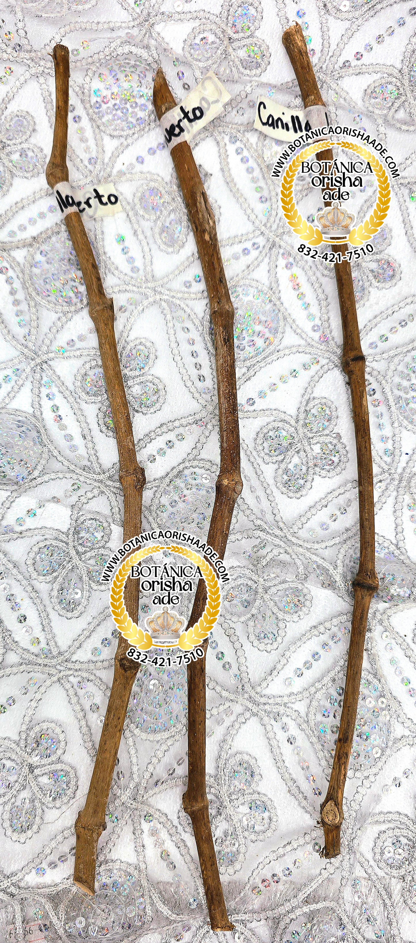 PALO ALAMO -  15 Y 20 PULGADAS DE LARGO