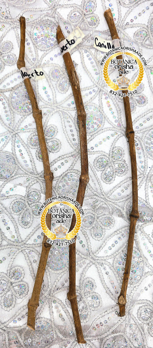 PALO ALAMO -  15 Y 20 PULGADAS DE LARGO