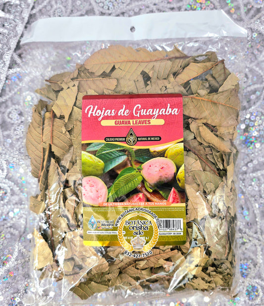 HOJAS DE GUAYABA