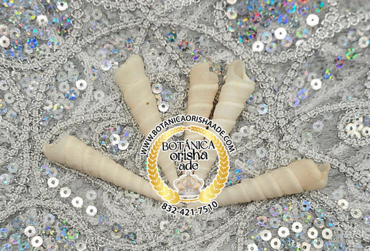 CARACOL TIRABUZON PEQUENO